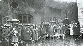 Timeline: ΑΝΤΕΛΑ ΙΩΑΝΝΑ