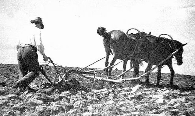 Pärisorjuse kaotamine Eestimaa kubermangus