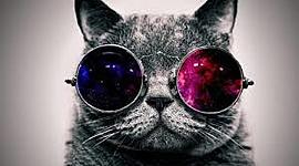 Timeline: worldwarthesecond