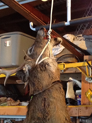 Killing my First Deer