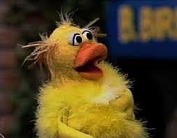 birds eyes open for the first time ever