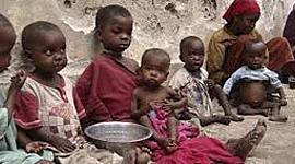 Timeline: African Food Shortage