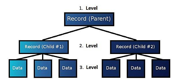 TERMINO BASE DE DATOS