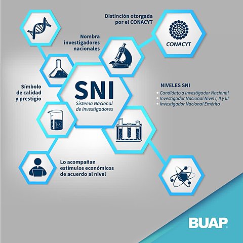 El SIN (SISTEMA NACIONAL DE INVESTIGADORES)