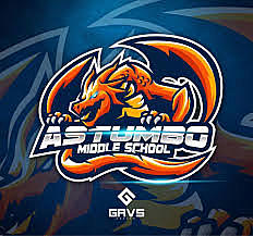 started middle school