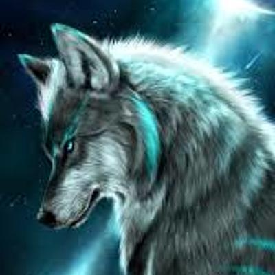 Timeline: Kyle's Timeline