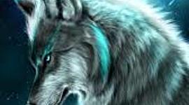 Timeline: Kyle's Timeline