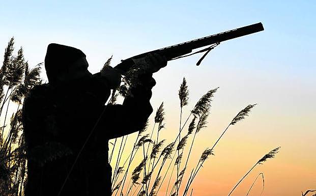 Inicio de la agudeza visual