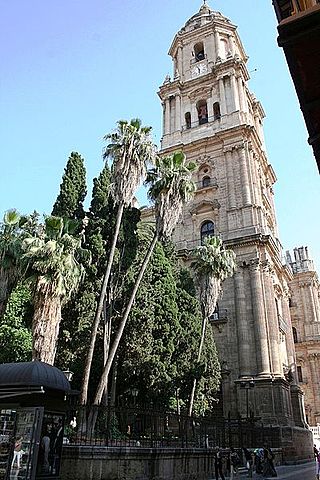 Malaga Cathedral