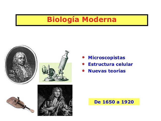 ETAPAS DE LA BIOLOGIA