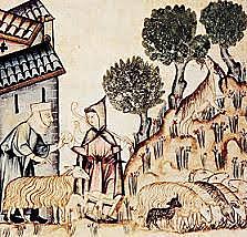 El señorío territorial