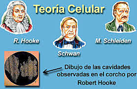 MATHIAS JAKOB Y THEODOR SCHWANN