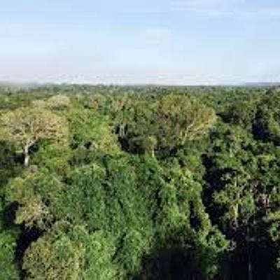 Timeline: Eventos históricos do Meio Ambiente