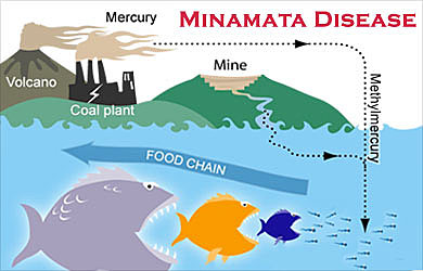 Minamata Disease