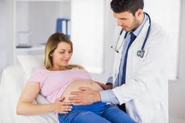 PROTECCIÓN DE LA MATERNIDAD (Organización Internacional del Trabajo).