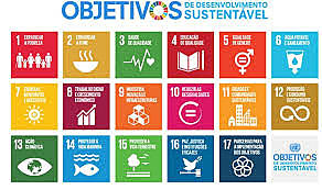Agenda 2030 de Desenvolvimento Sustentável.