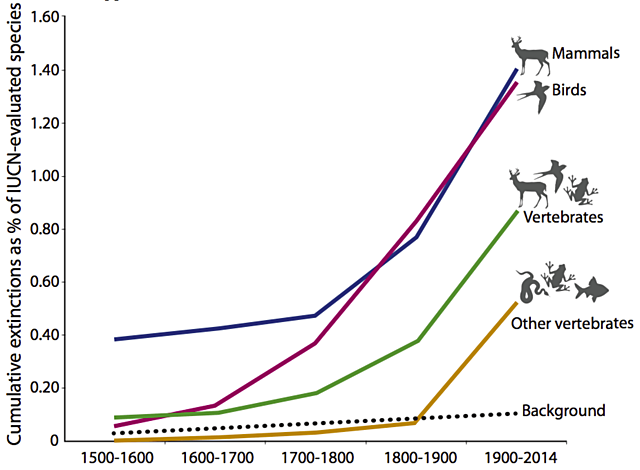 Sixth Mass Extinction