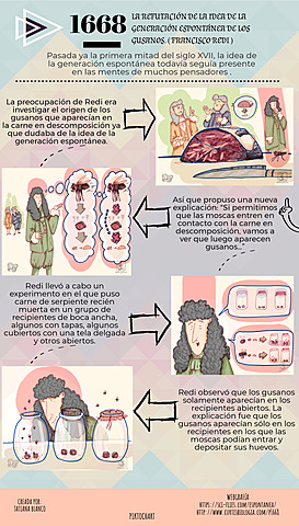 Refutación de la idea.