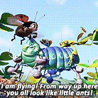 Bichos, una aventura en miniatura