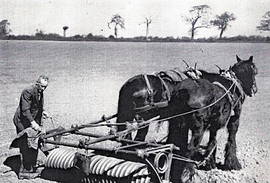 1920's Economy: Farm Problems