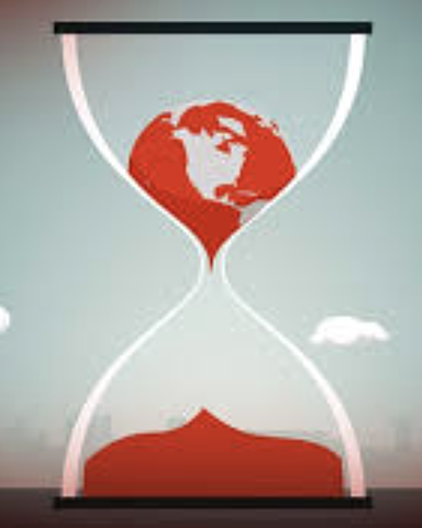 2019 - Sixth Mass Extinction