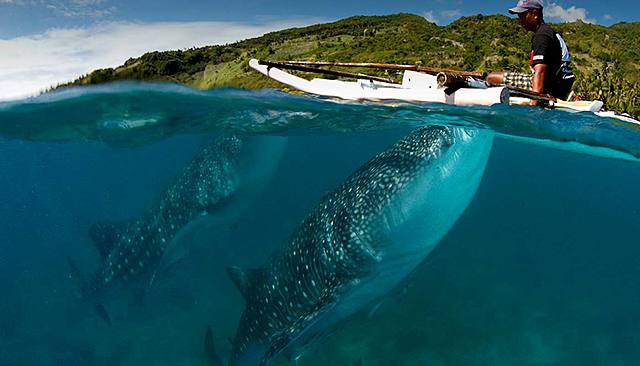 We went a trip to philipines