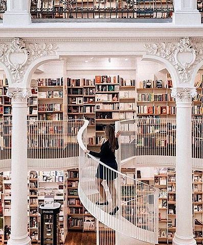 Finish College & Dream Career