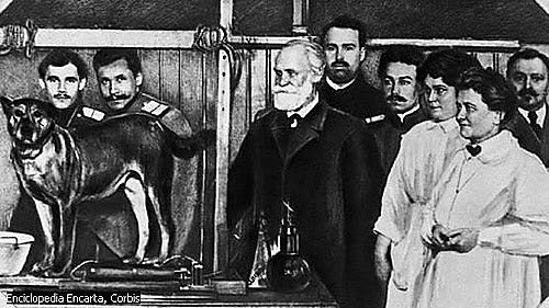 Iván Pávlov inicia el estudio de las glándulas digestivas en Rusia