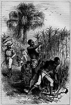 Abolition of the slave trade 1808