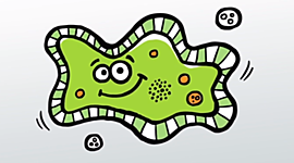 Timeline: Cell Theory