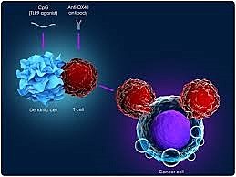 Immunotherapy for Cancer Treatment