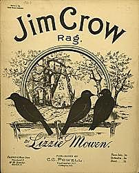 Adoption of Jim Crow laws