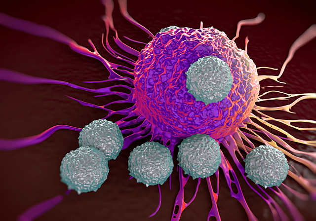 Immunotherapy for cancer