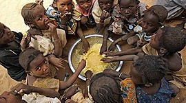 Timeline: South Sudan Food Shortage (Functionalist)