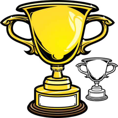 Won 10 under Regional Softball Tournamnent