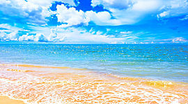 Timeline: My Lifeline