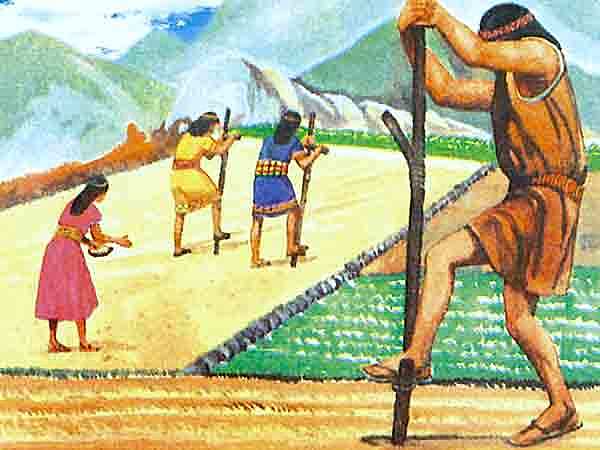 DESARROLLO Y EXPANSION DEL TAHUANTINSUYO