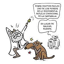 Numerosos psicólogos abordan la tarea de construir la nueva ciencia