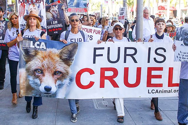 The Rise of the Anti-fur Movement