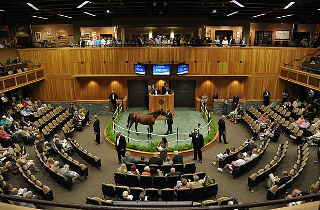 The horses are auctioned off