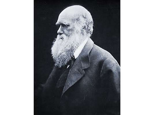 Darwin's Theory of Evolution