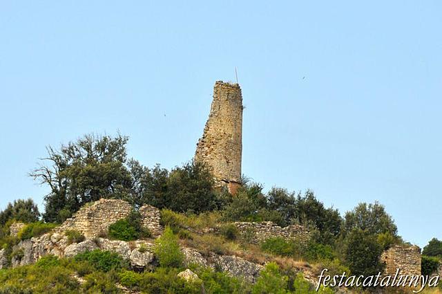 Galí de Sant Martí colonitza el castell de Calders
