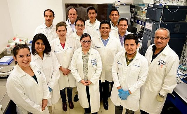 Se estimaba que solo el 5% de los investigadores de la educación contaban con doctorado el 16% con maestría y 42% con licenciatura.