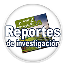 Hubo una serie de contradicciones en los reportes de investigación sobre el número de investigadores que habían en el campo de la IE en México