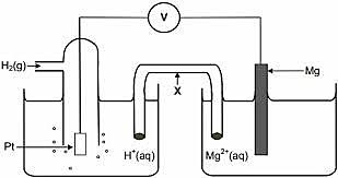 Published first article on Electrochemical Cells, Submited doctoral thesis and acquired a license in mathematics.