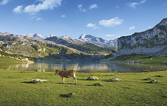 parque nacional de picos de europa
