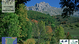Timeline: Parque Nacional de los Picos de Europa icono barra herramientas