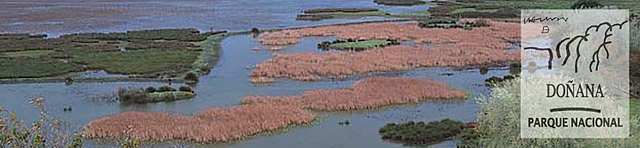 Se crea el Parque Nacional de Doñana