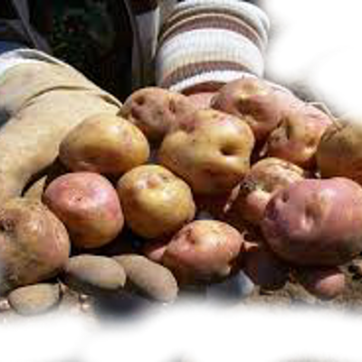 Timeline: Eje Cronológico desde La Segunda Guerra Mundial  hasta 1978