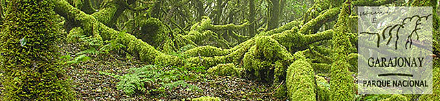 La creación del Parque Nacional de Garajonay